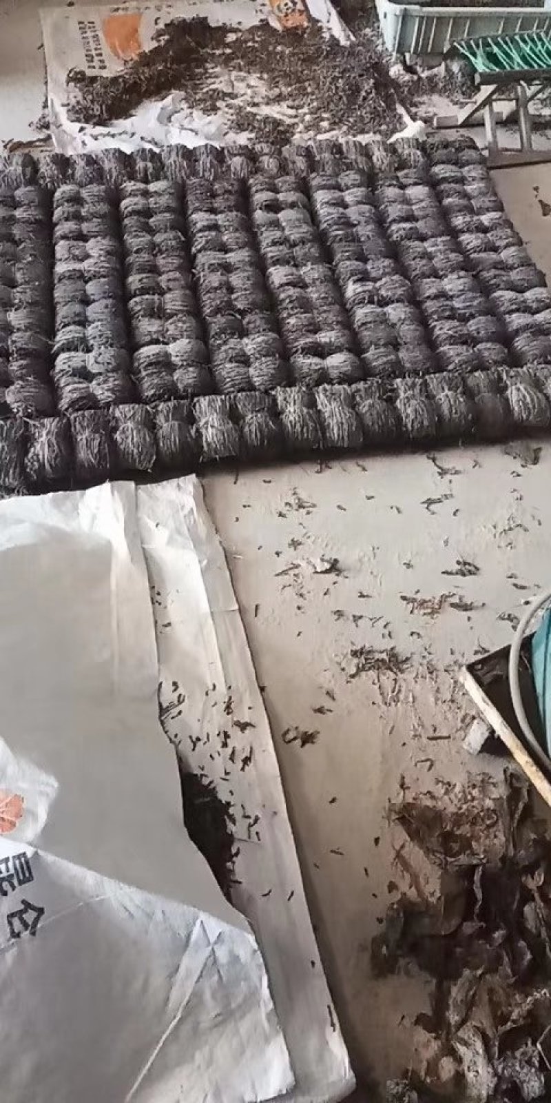 2019年福建产地自产自销无沙莱海带丝，现在预约