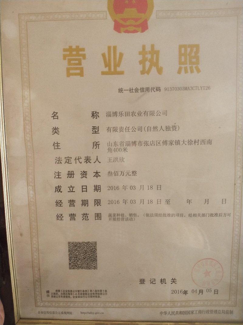 角堇花，三色堇，产地直销，