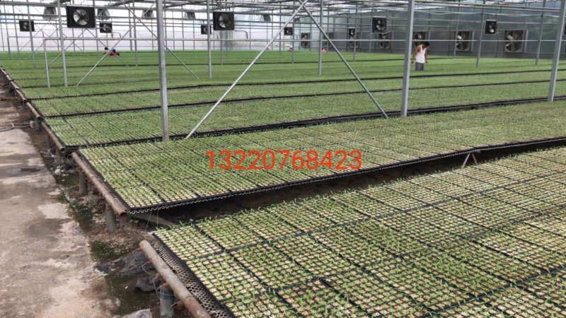 水暖风机加温设备养殖种植畜牧专用
