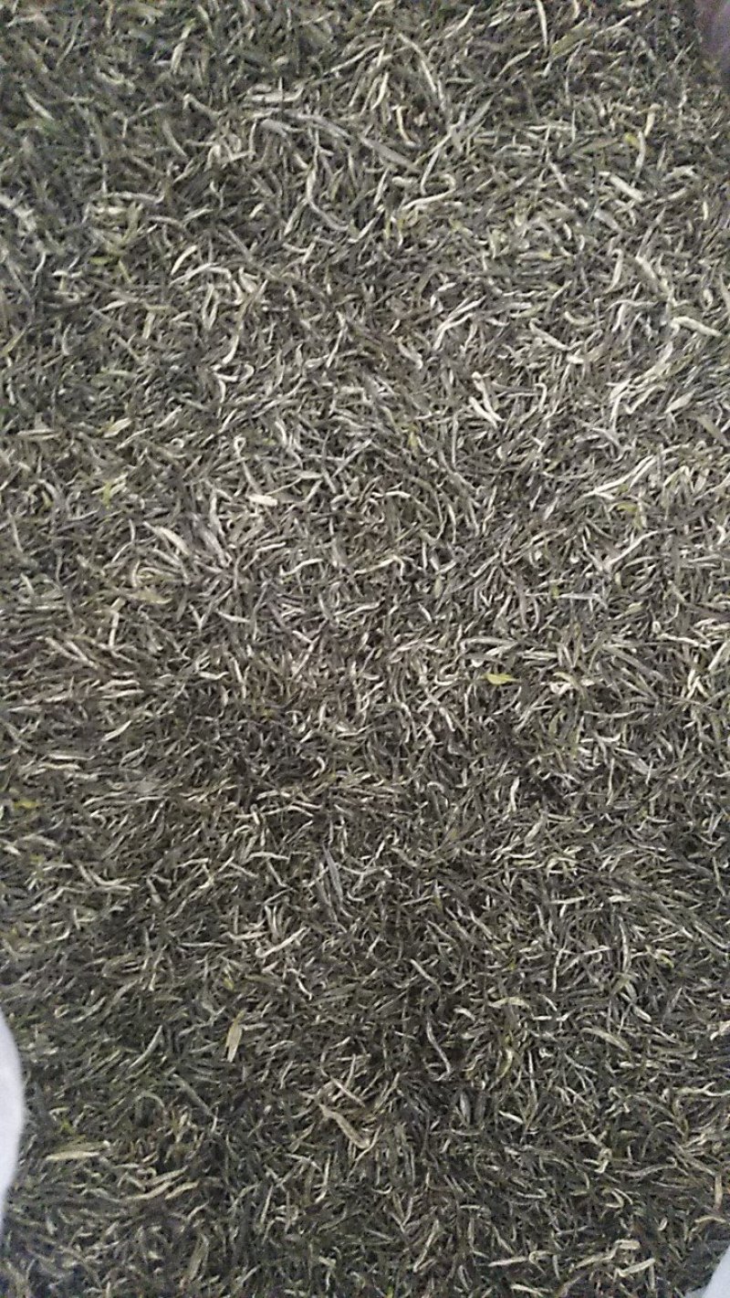 绿茶