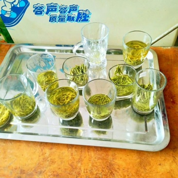 信阳毛尖：新茶清明节前茶