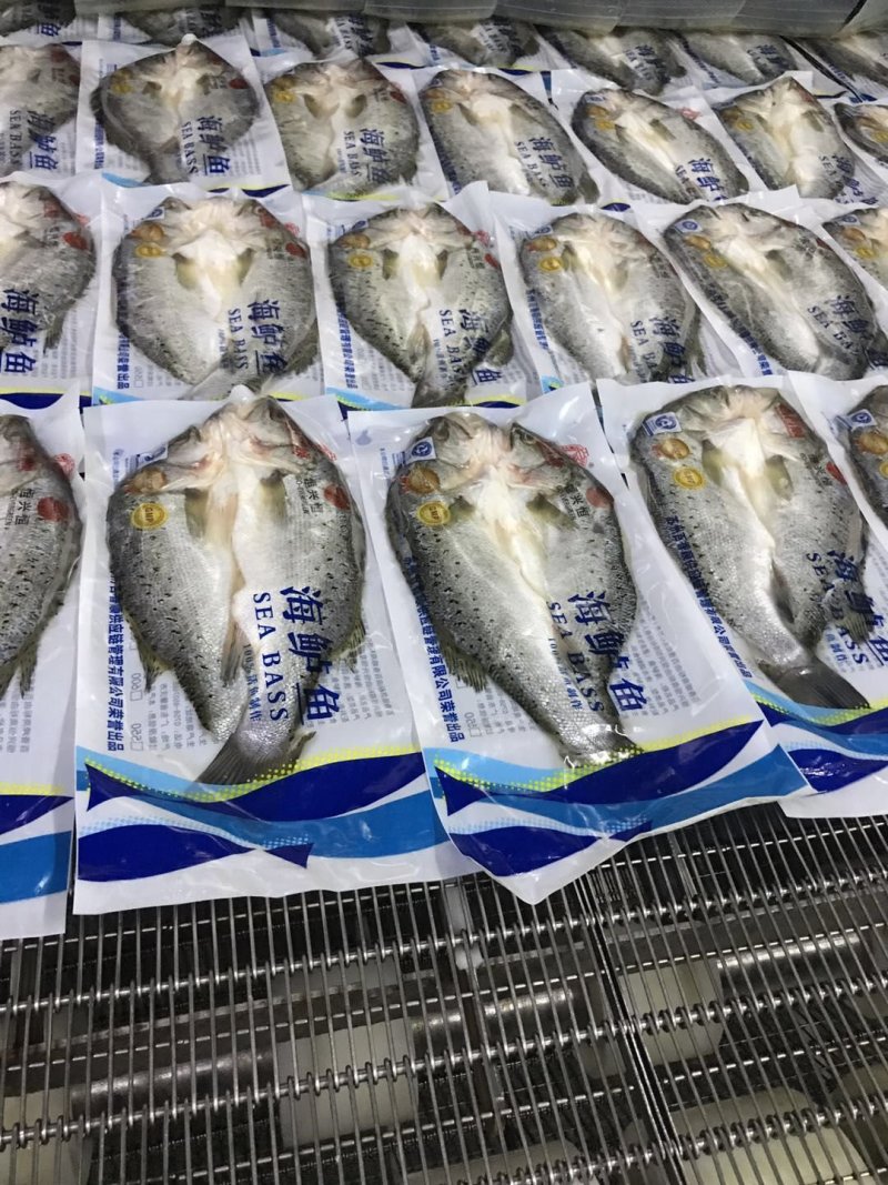 真空包装海鲈鱼，各种规格条数都有