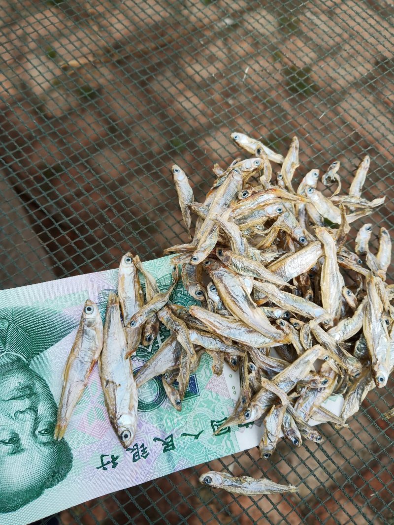 白条鱼有货了，要货的老板可以骚扰我了……
