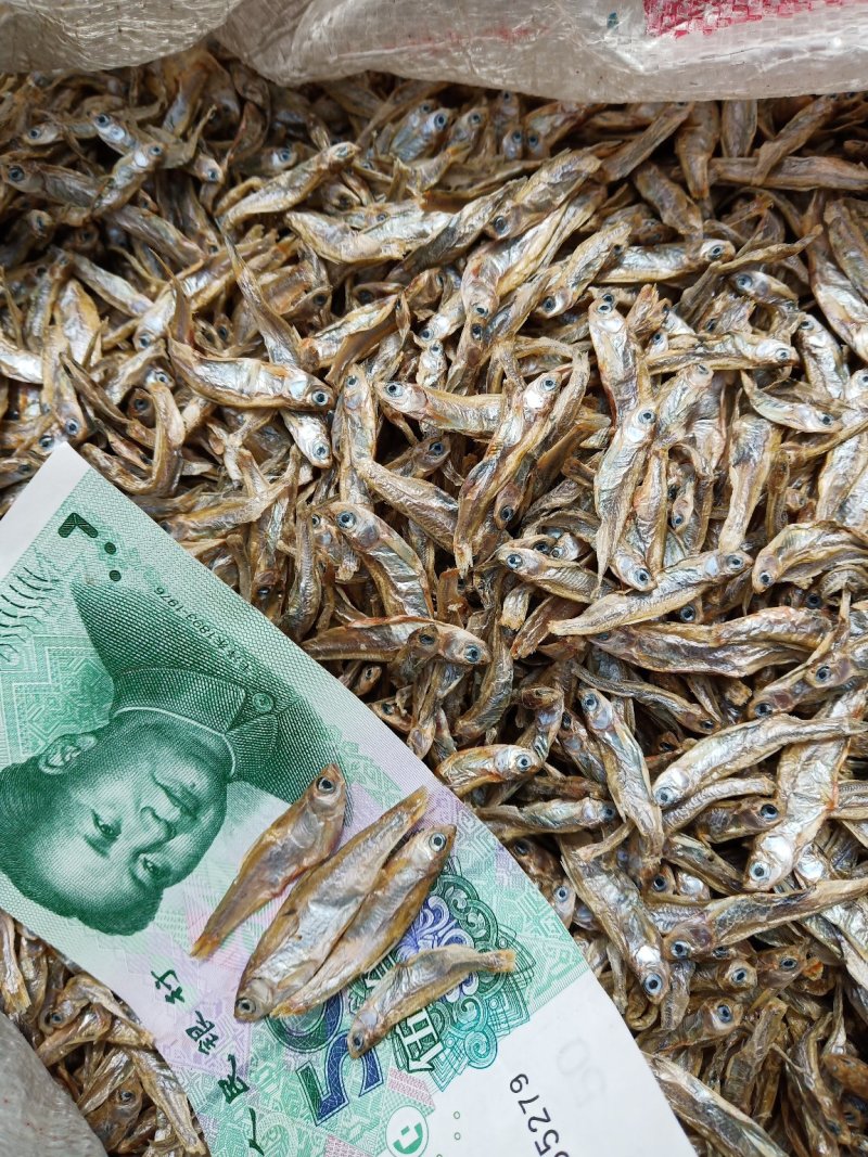 白条鱼有货了，要货的老板可以骚扰我了……