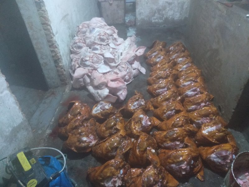 猪头去毛了，每天都有100个，