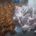猪头去毛了，每天都有100个，