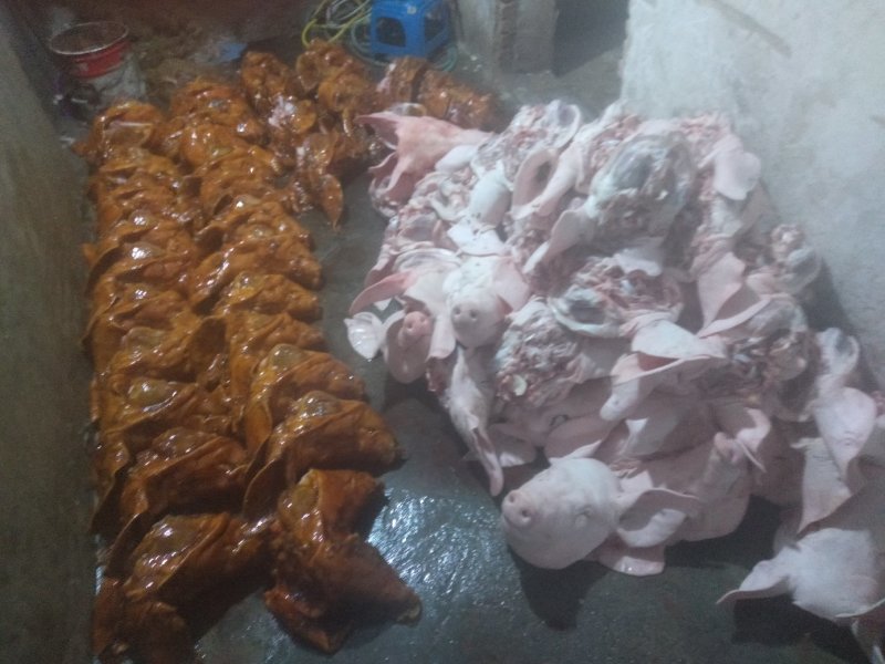 猪头去毛了，每天都有100个，