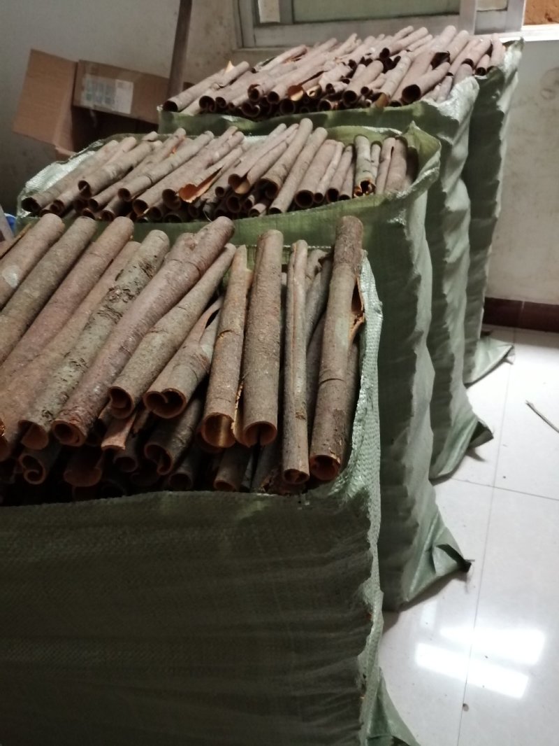 中小通桂皮足干定装40kg一件产地直销