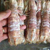 精品皮皮虾，现货~大中小规格