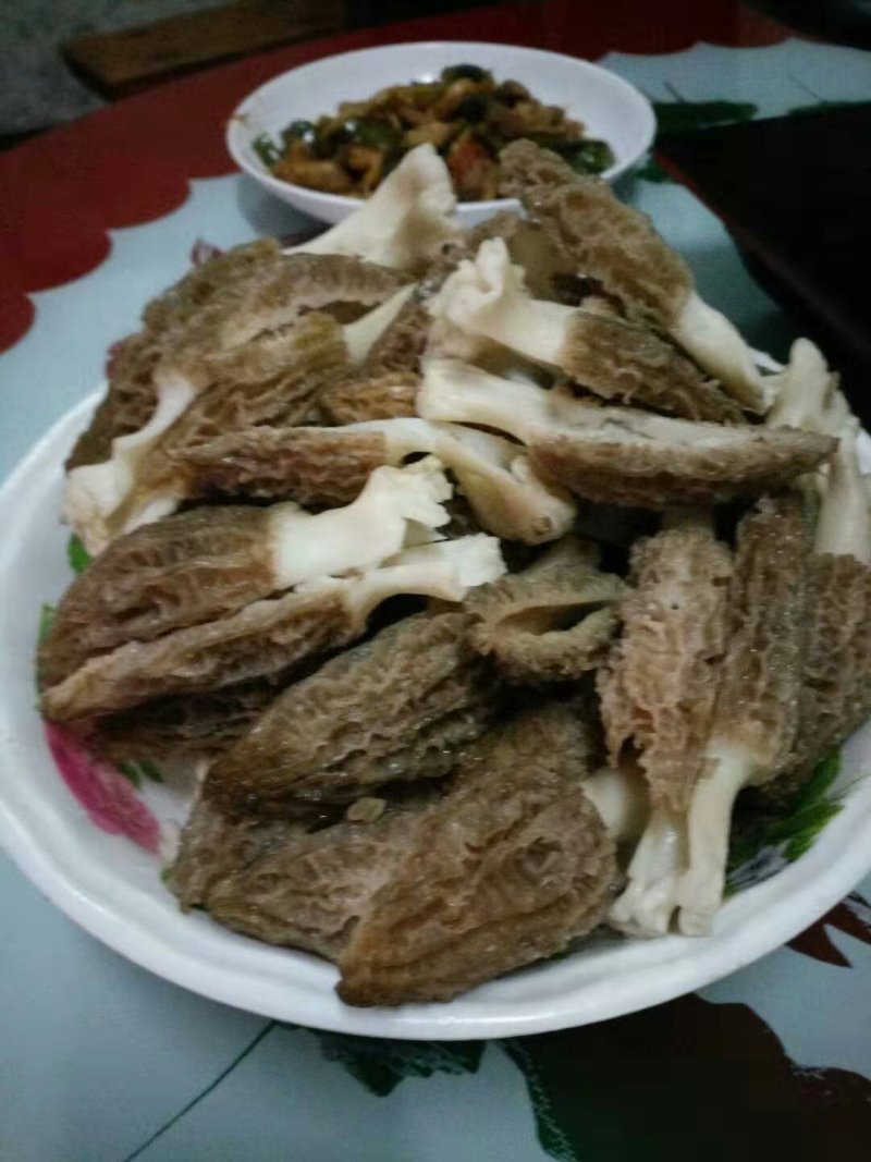 鲜羊肚菌