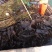 山东荣成高区新鲜湿海带大量上市自家养殖顺风车物流发货