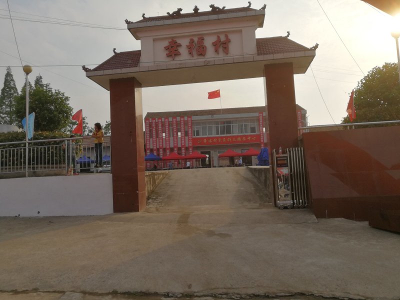 鲤鱼苗水花，夏花，乌子，寸片自产自销，各种规格都有