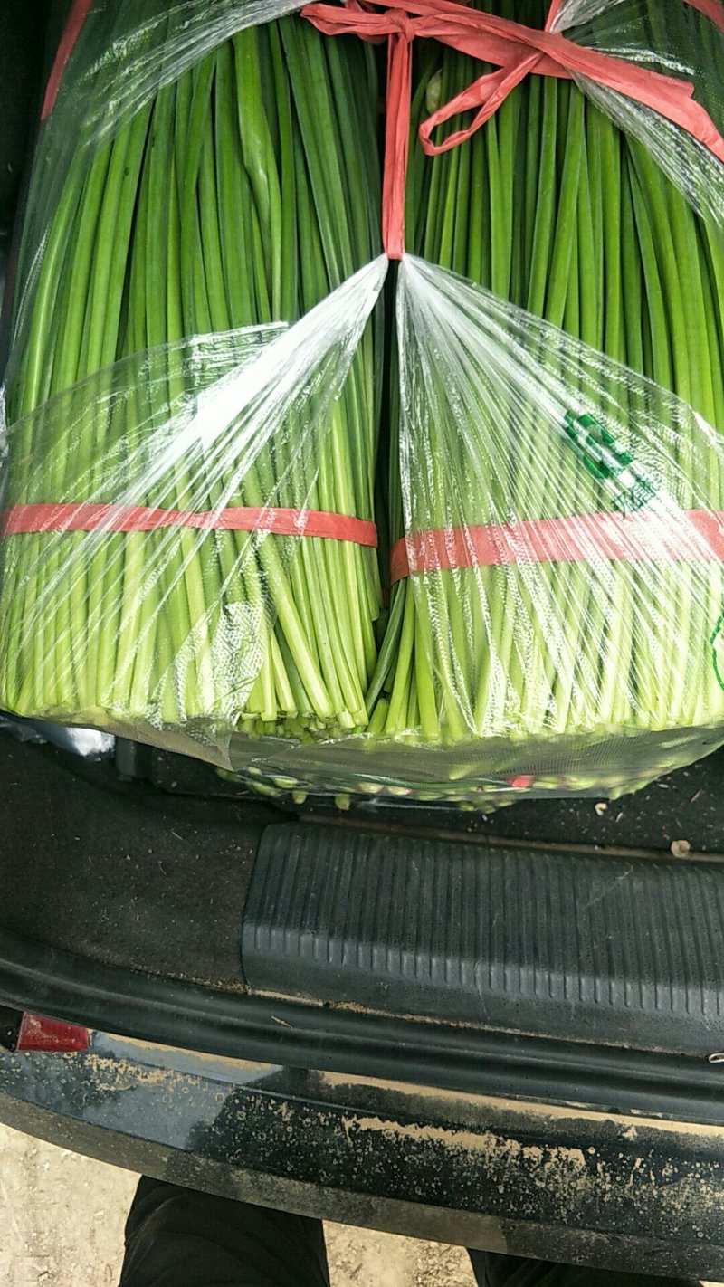 精品韭台