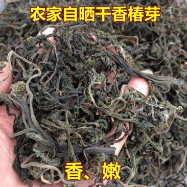 干香椿芽秦岭农家腌制脱水晾干椿芽一斤起发