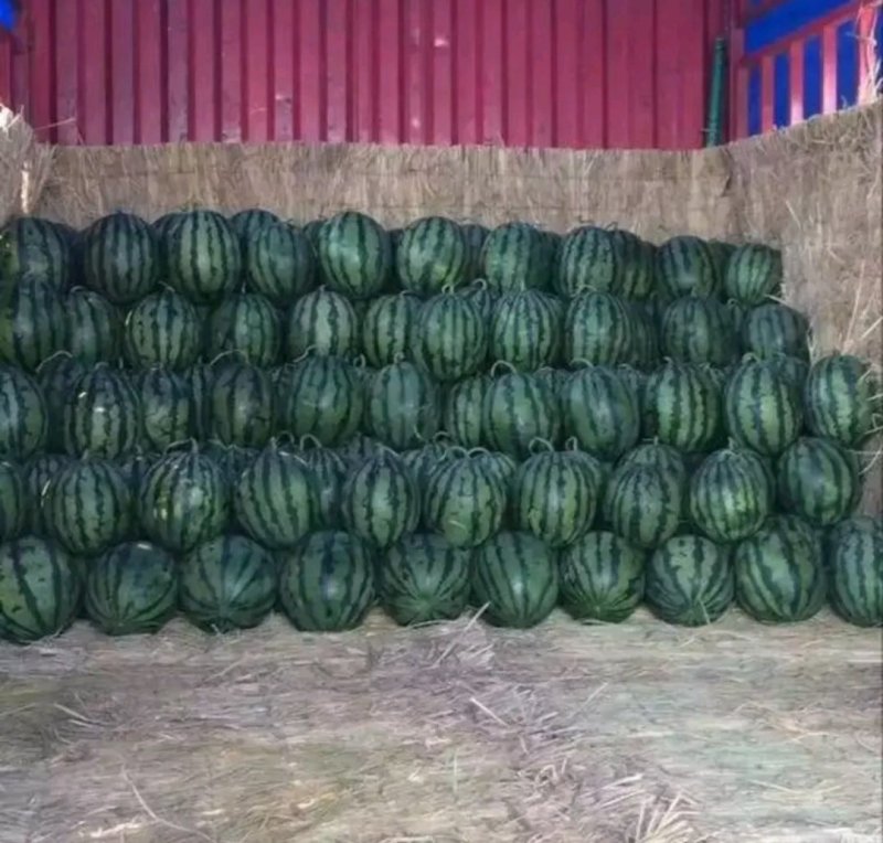 《特价》各种品种西瓜上市了，量大从优，想要好话的快联系我