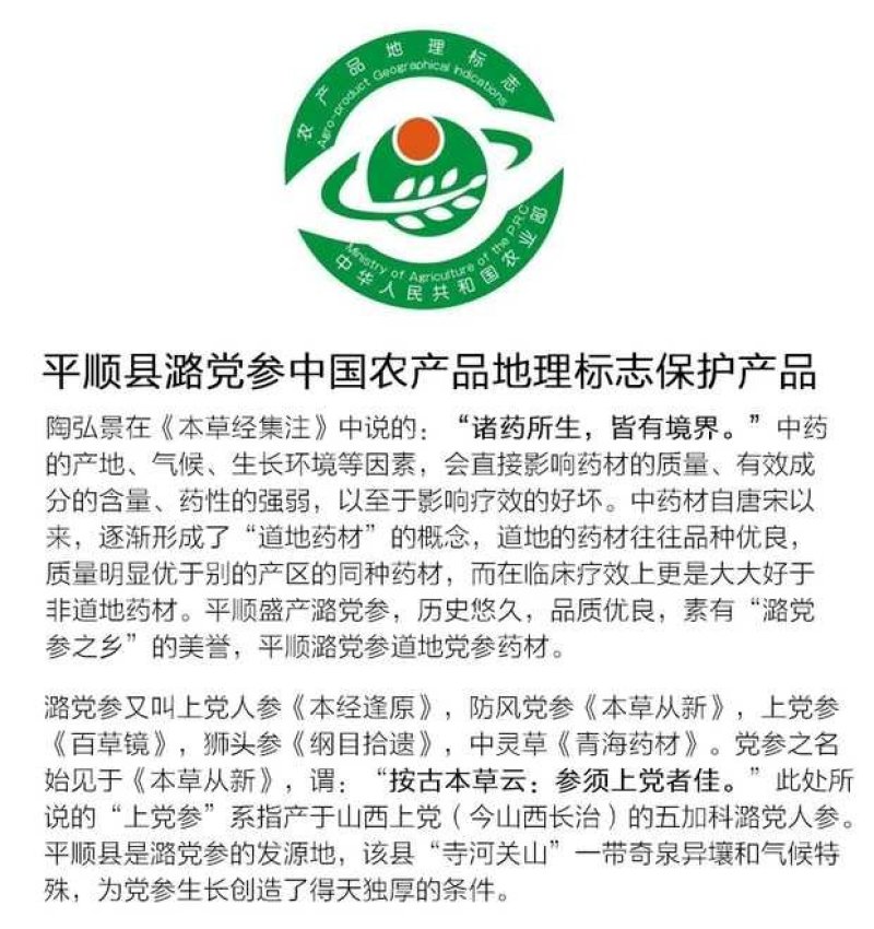党参锻党参片党参节上党中条潞党参片直径0.4-0.8cm