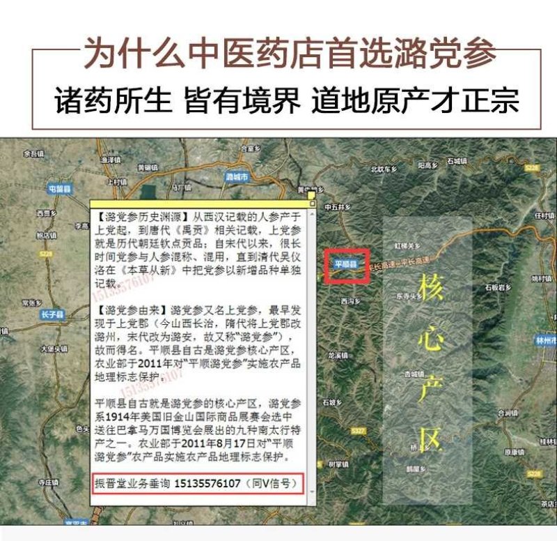 党参锻党参片党参节上党中条潞党参片直径0.4-0.8cm