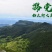 党参锻党参片党参节上党中条潞党参片直径0.4-0.8cm