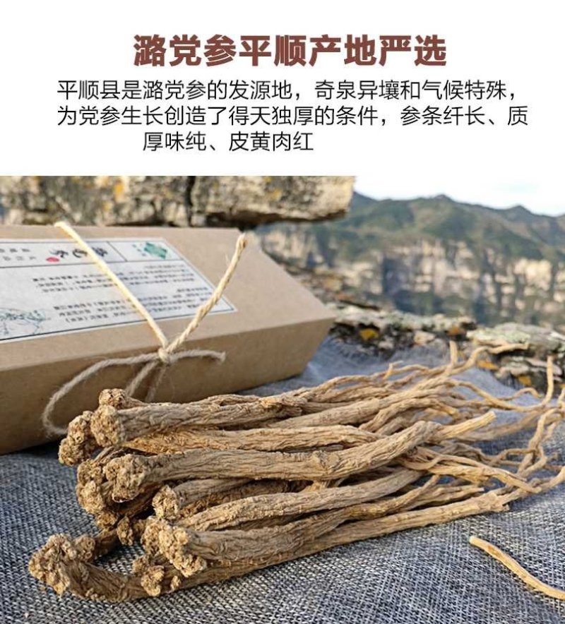 党参锻党参片党参节上党中条潞党参片直径0.4-0.8cm
