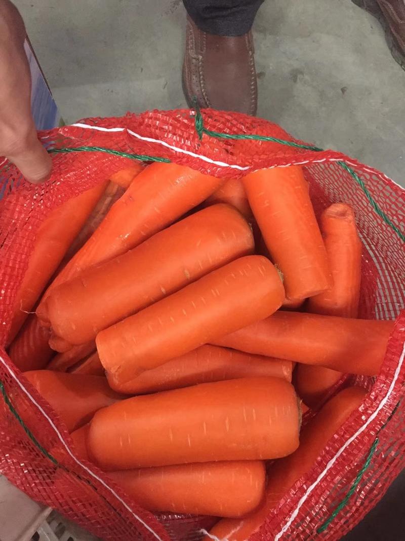 胡萝卜次品
