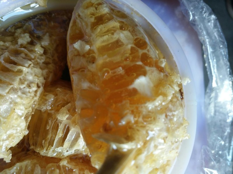 一手货源缅甸野生蜂巢蜜大排蜂蜜小挂蜜