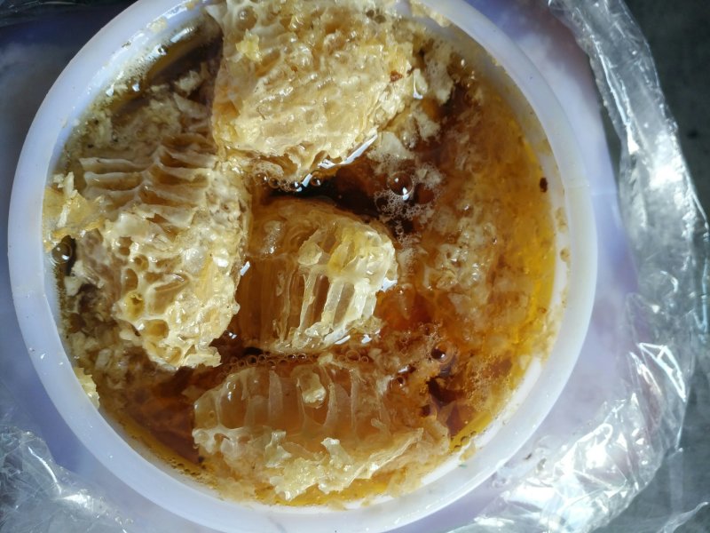 一手货源缅甸野生蜂巢蜜大排蜂蜜小挂蜜