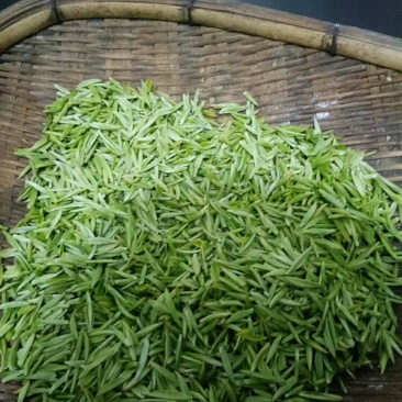 都匀螺丝壳毛尖茶，山高水秀，茶香满阶，养生选用。
