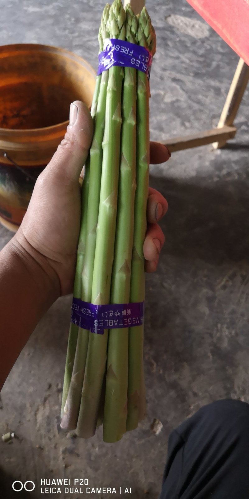 产地黄山黟县绿芦笋格兰德