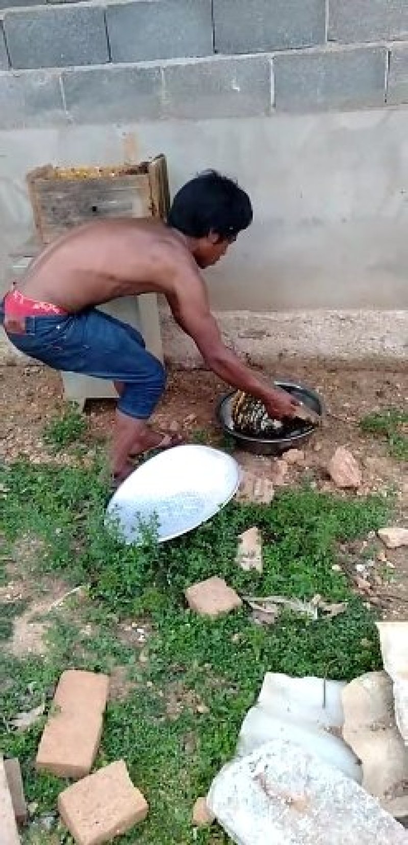 看看蜜蜂不高价