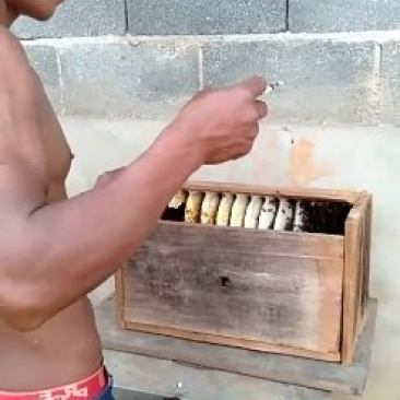 看看蜜蜂不高价