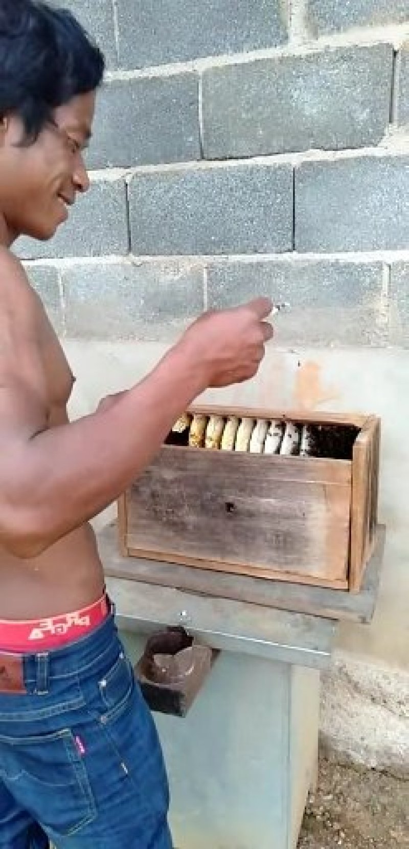 看看蜜蜂不高价