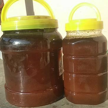 秦岭山天然土蜂蜜棒棒桶木桶蜂蜜崖蜜农家自产天然百花蜜包邮