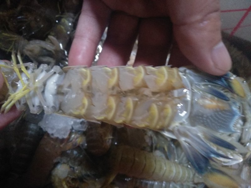 熟蒸皮皮虾