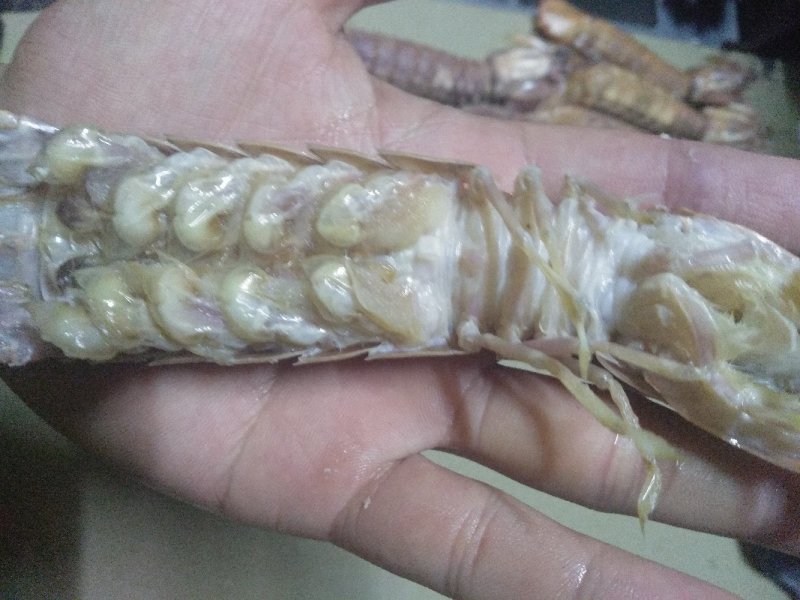 熟蒸皮皮虾