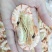 斑节虾干