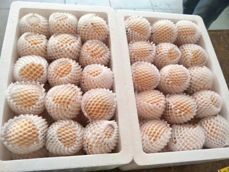 生态枇杷无污染自家手工川贝枇杷膏