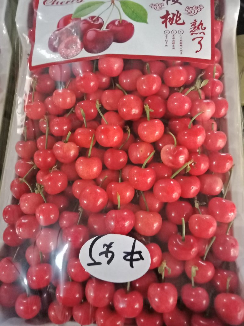山东大樱桃
