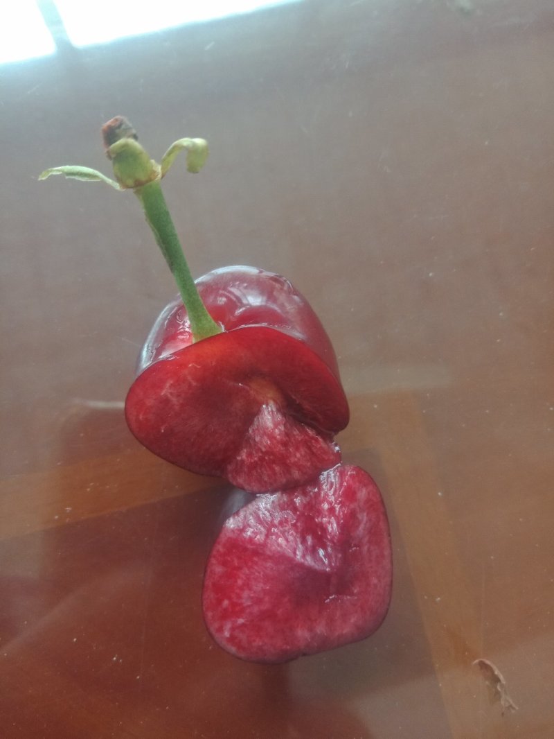 山东大樱桃