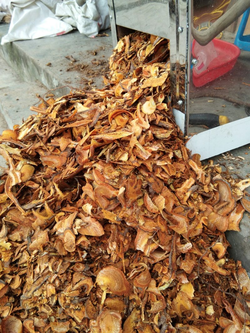 虎杖，大货虎仗供应，二十斤起发货，纯野生