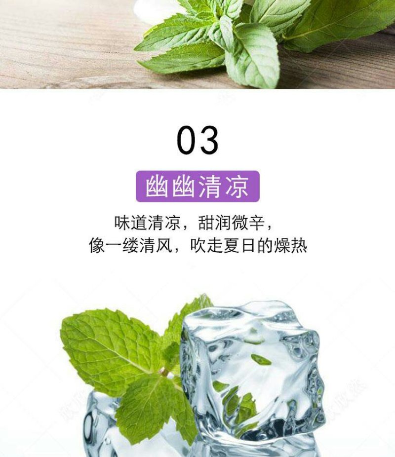 【春夏必备驱蚊植物】食用薄荷盆栽薄荷叶驱蚊草植物薄荷苗留