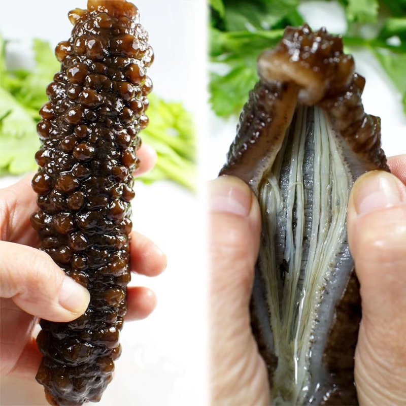 即食米刺参一袋一斤10头有弹性经济实惠有营养