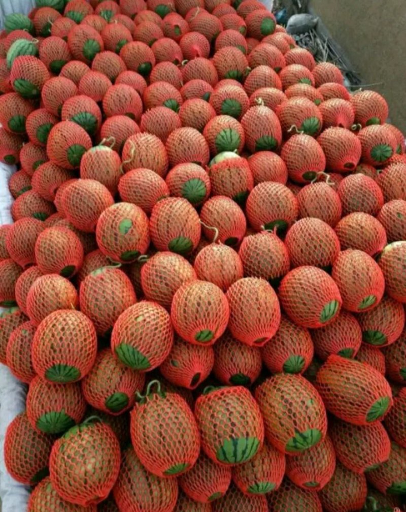 精品2K手剥西瓜大量上市手剥瓜小薄皮大红瓤代发全国