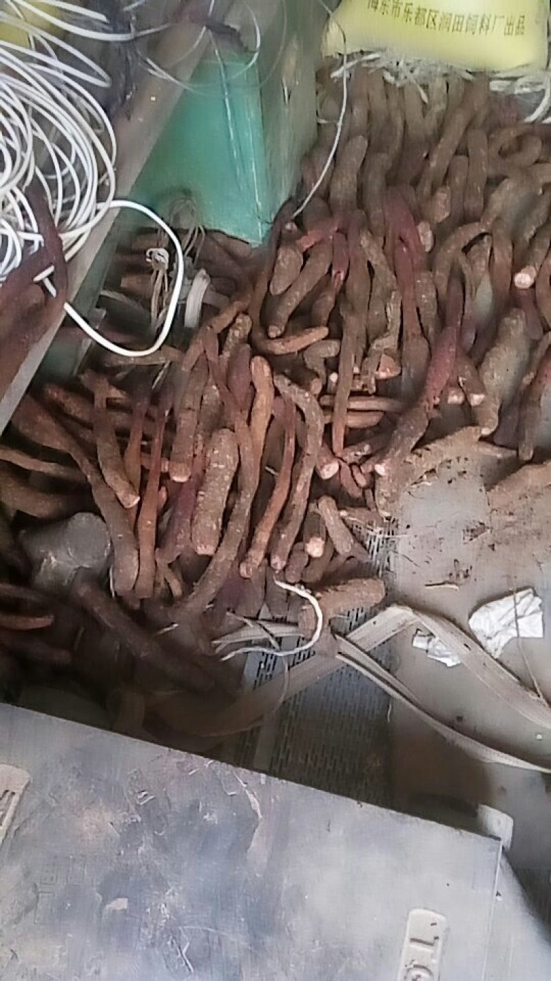 锁阳鲜货