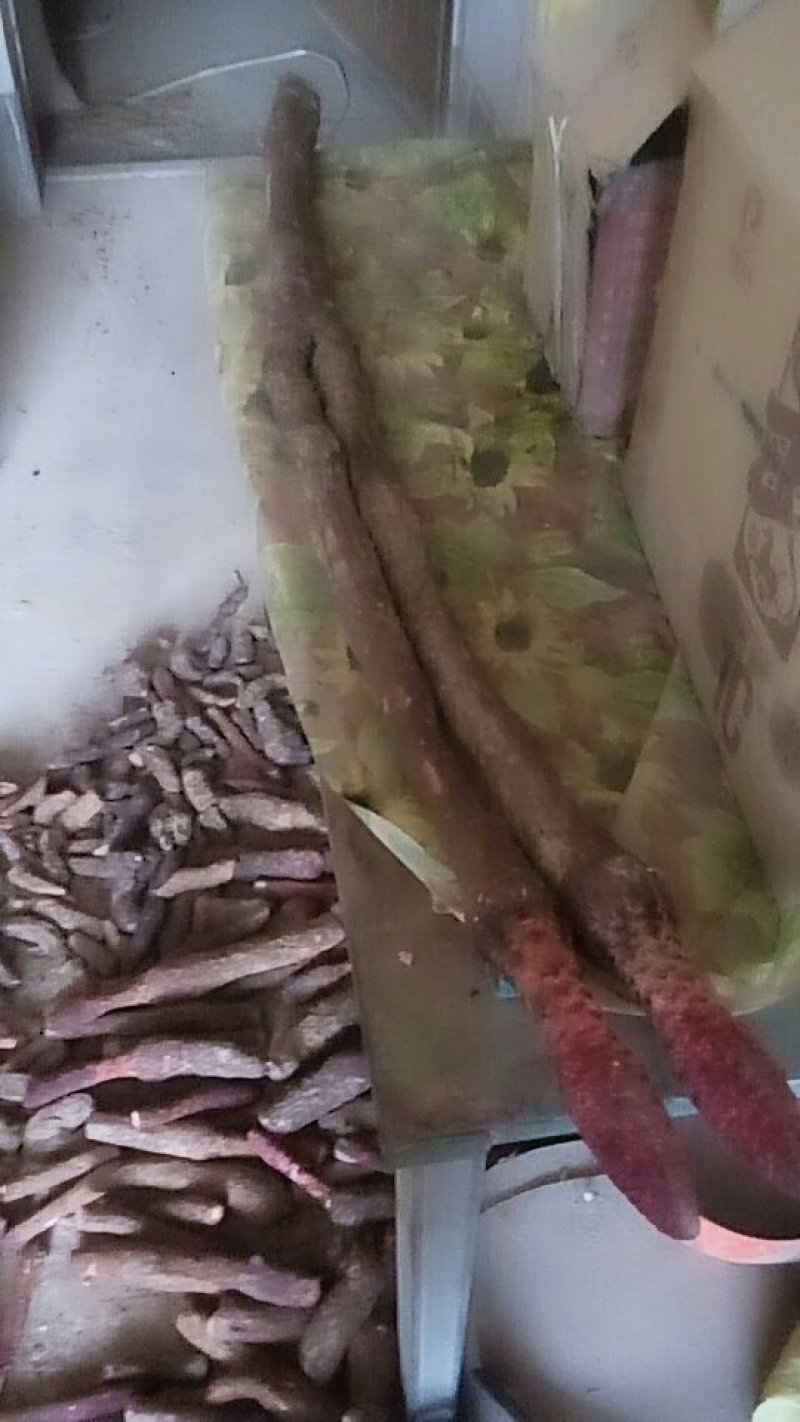 锁阳鲜货