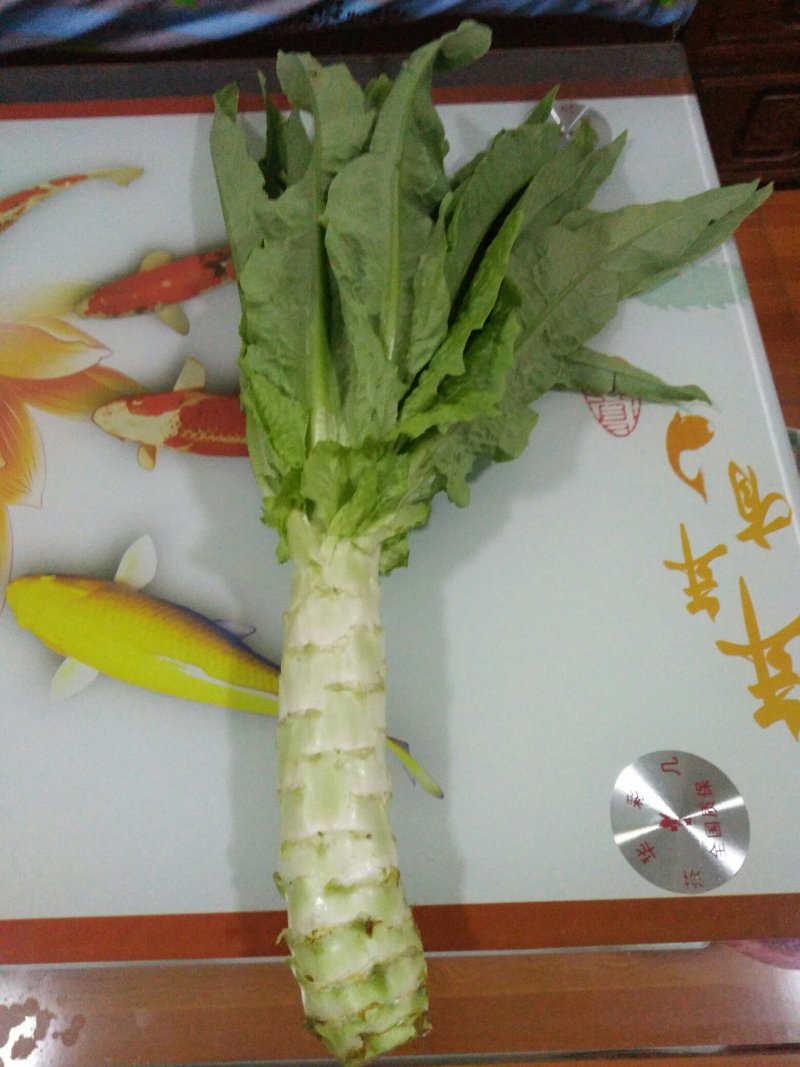 青皮尖叶莴苣