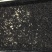 常年出售各虫龄优质黄粉虫（开口虫、幼虫、成虫）优质黄粉虫