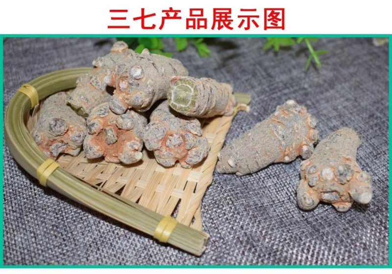 云南文山三七25头无剪口25个一斤包邮