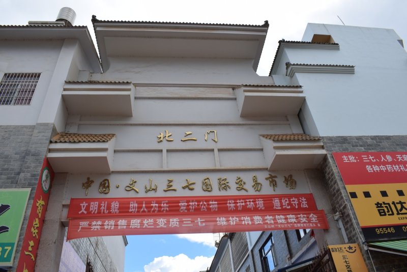 云南文山三七25头无剪口25个一斤包邮