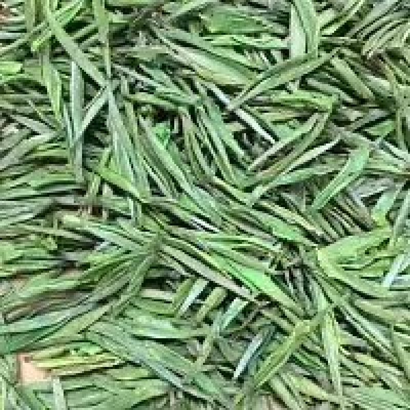 九华佛茶太平猴魁