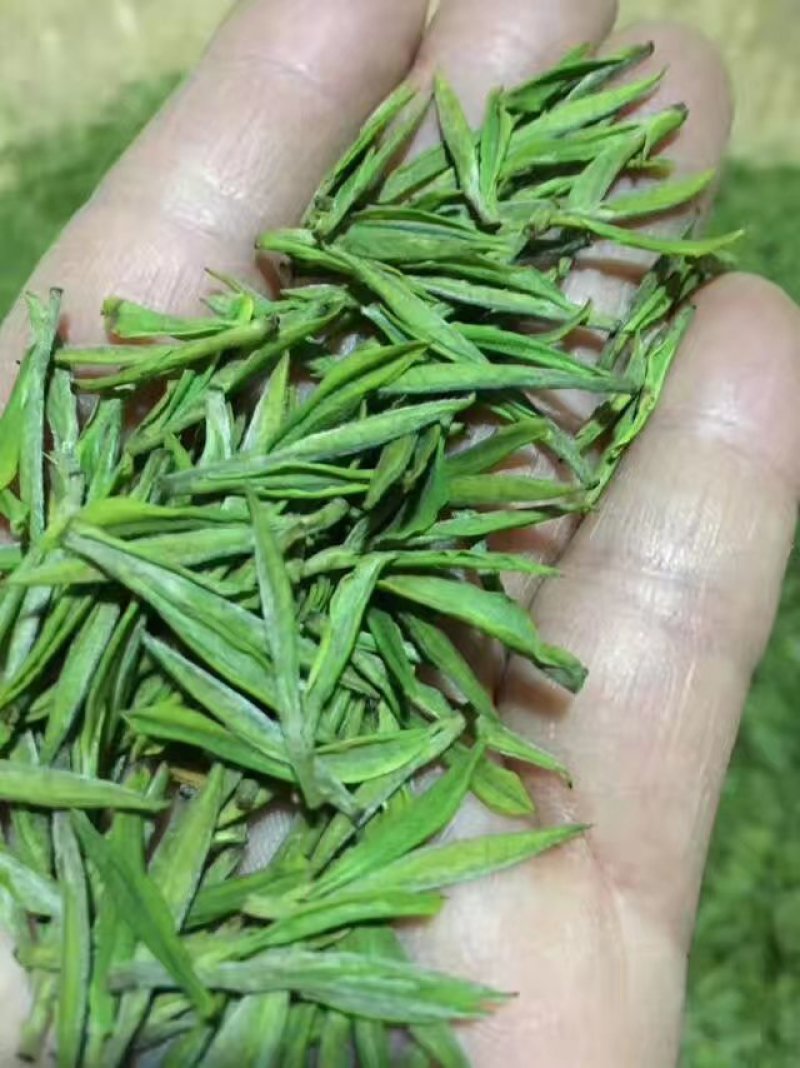 九华佛茶太平猴魁